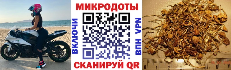 Галлюциногенные грибы мухоморы  наркотики  Чаплыгин 